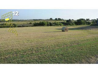 Property photo 64 - Mickle's Valley View Ranch and Canyon West Golf Club 506+/- Acres Offered in 27 Tracts in Weatherford, TX